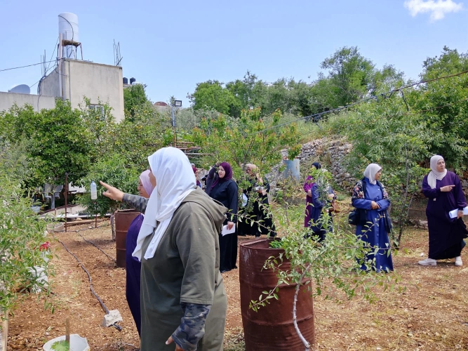 Ministry of Agriculture: Salfit Agriculture Directorate continues implementing field school activities in Iskaka with the participation of 15 women and with the support of UNDP