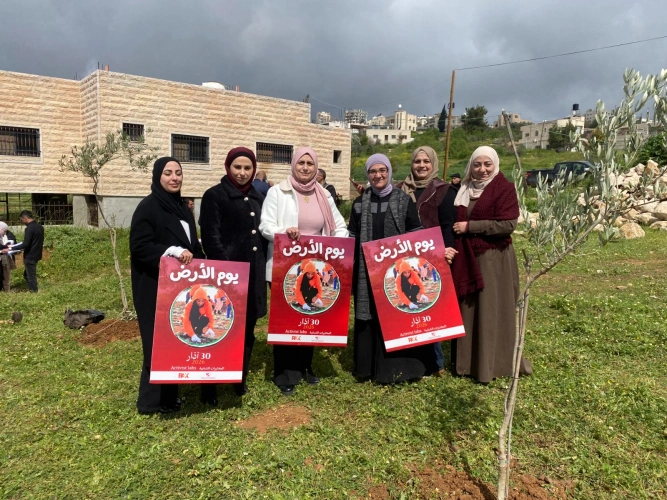 Ministry of Agriculture: In commemoration of Land Day, South Hebron Agriculture Directorate implement an event to plant large olive seedlings, in the presence of a number of governmental and civil institutions