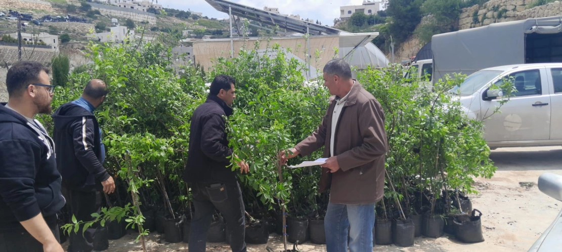 Ministry of Agriculture: Agricultural supplies delivered to beneficiaries in Beit Kahil and Tafouh as part of the Italian-funded "Sanet" project implemented by the CIHEAM/Bari Institute in partnership with the Palestinian Employment Fund
