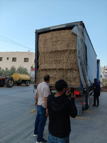 Ministry of Agriculture: Ramallah and Al-Bireh Agriculture Directorate implements urgent intervention to support livestock breeders in Sinjil and enhance their resilience
