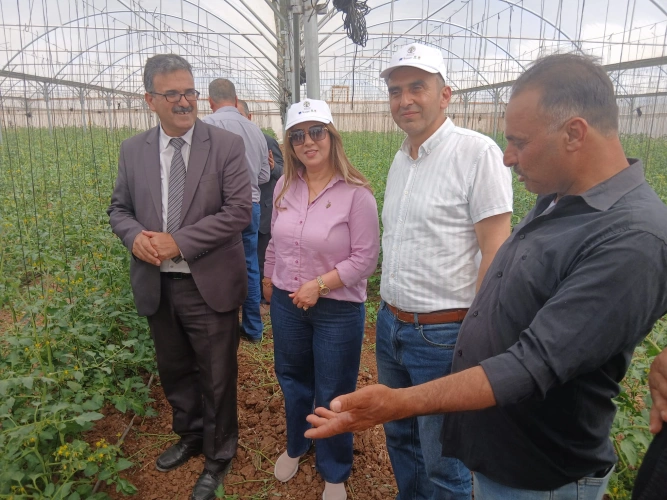 The Ministry of Agriculture leads international and local partnerships to develop the Palestinian agricultural insurance sector and follows the success stories of farmers in Jenin.