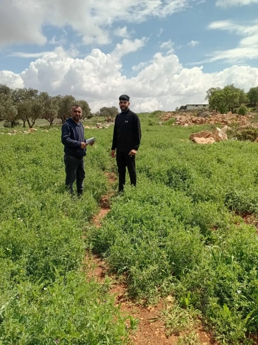 Ministry of Agriculture: Jerusalem Agriculture Directorate , in partnership with (FAO), conduct field inspection tours for 107 farmers in Al-Jib, Badu and Jaba’ within the Green Jobs Project