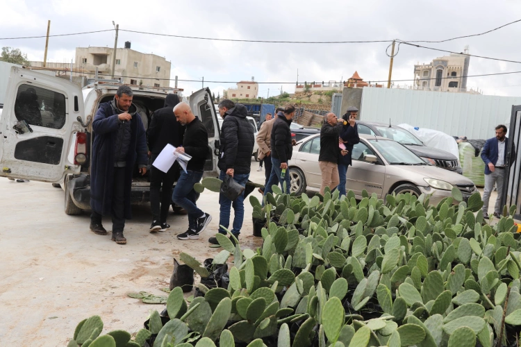 Ministry of Agriculture: South Hebron Agriculture Department and Hebron Community Center distribute supplies for the "Improved Cactus" project to (20) beneficiaries in Dura, Al-Ramadin, and Al-Dhahiriya
