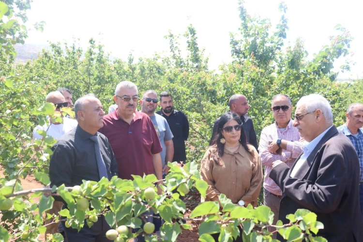 The Ministry of Agriculture, Jenin Governorate, and the Palestinian Center for Economic and Social Development inaugurate the almond season in Jenin Governorate