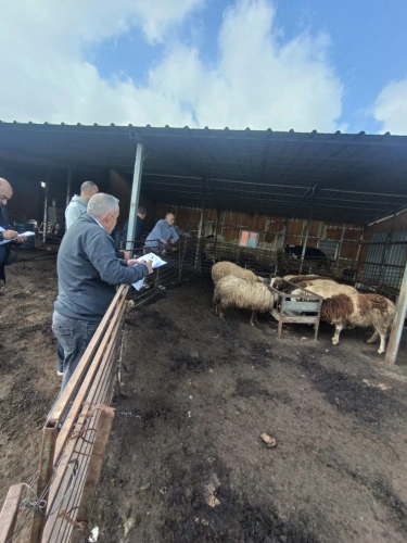 Ministry of Agriculture: Technical committees are monitoring the implementation of EU-funded agricultural assistance projects in Aqaba, Tayasir, Tubas, Tammun, and Salhab