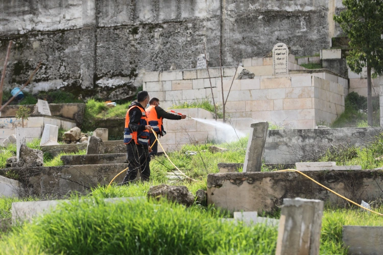 Ministry of Agriculture: Hebron Agriculture Directorate and Hebron Municipality are carrying out pesticide spraying operations as part of preventive measures to reduce fires