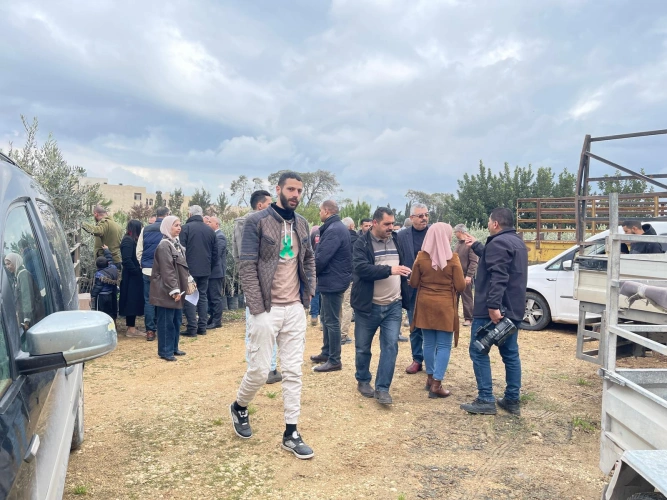 The Ministry of Agriculture distributed 3,106 enlarged olive trees and 36 water tanks to affected farmers in Silat al-Harithiya, Yamoun, Arqa, Faqou&rsquo;a, Jalboun, Kafr Ra&rsquo;i and Jenin