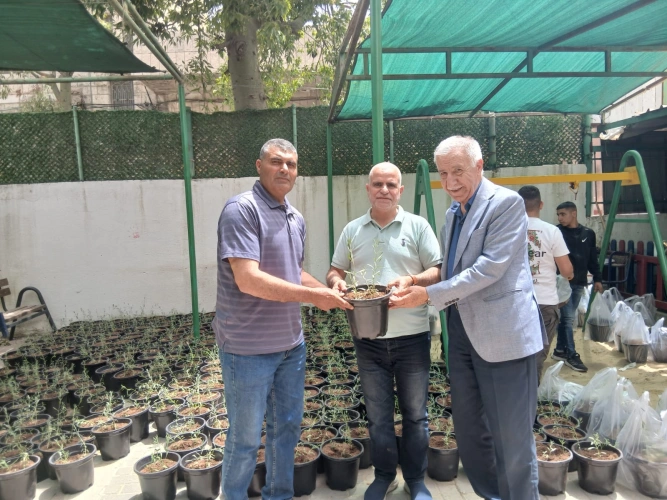 Ministry of Agriculture: Hebron Agriculture Directorate participates in distributing lavender seedlings to 50 women as part of the "Aroma of the Mountains" project in the Old City of Hebron