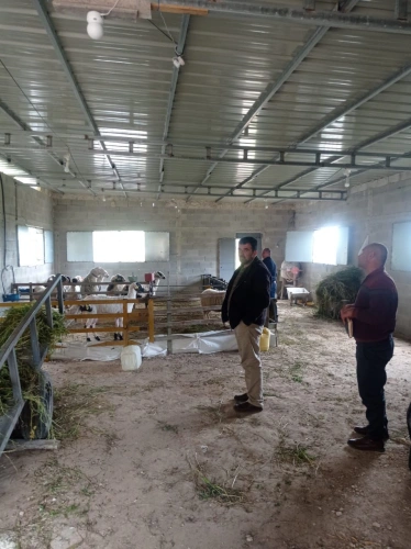 Ministry of Agriculture: The technical committee of the agricultural assistance program receives 11 diverse projects for animal production, with a value of about 500,000 shekels
