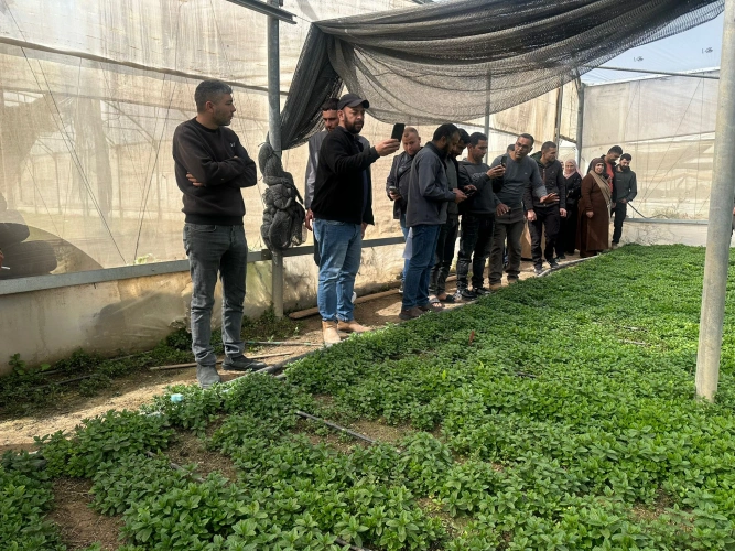 Ministry of Agriculture: Al-Dhahiriya District/South Hebron Agriculture and Veterinary Directorate organizes a field visit for vegetable farmers in Al-Dhahiriya to promote modern agricultural practices