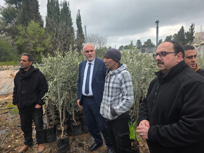 Ministry of Agriculture: Slaimiya participates in distributing 565 enlarged olive trees to 14 farmers from Surif, Beit Ummar and Bani Naim during his inspection of the Al-Aroub forest nursery