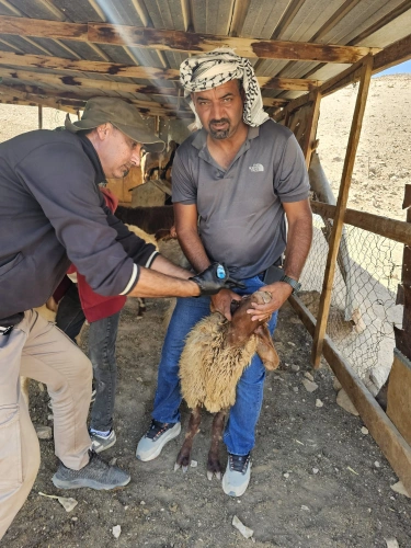 Ministry of Agriculture: Veterinary vaccination campaigns continue administering 9,692 doses across 10 veterinary districts and zones, benefiting 254 farmers and livestock breeders in 8 governorates.