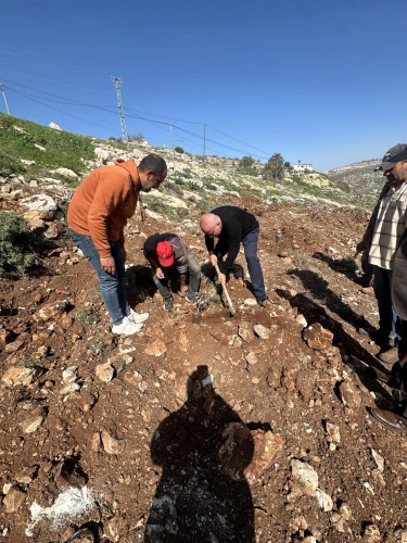 Ministry of Agriculture: The Directorate of Agriculture in Tulkarm implemented a project to establish economic carob plots by planting 100 seedlings in partnership with Kafr Abboush Village Council