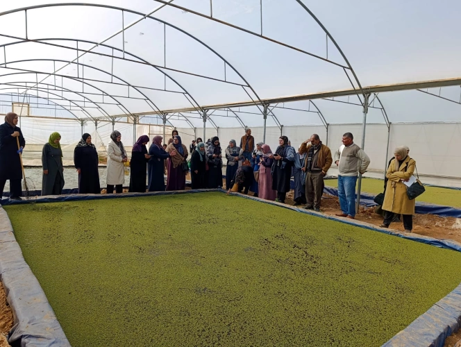 Ministry of Agriculture: Hebron Agriculture Directorate and JICA have conducted a field visit for the benefit of 17 beneficiaries, including women's associations and clubs, in Beit Ula, Masafer Bani Na'im, and Dura.