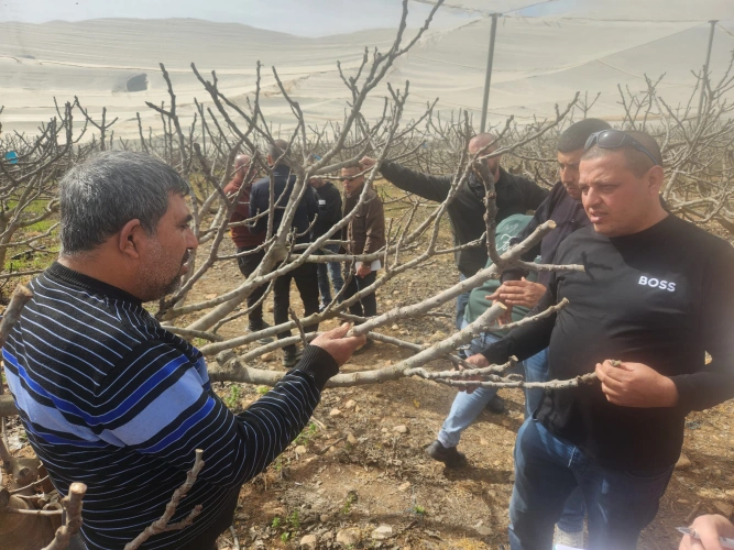 The Ministry of Agriculture, in partnership with JICA, is implementing a series of field and guidance activities in Jerusalem, Hebron and Qalqilya within (EVAP III) project