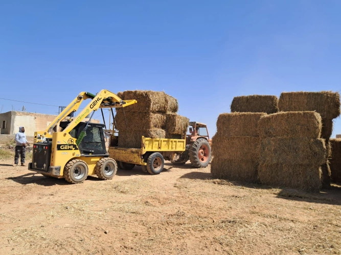 Ministry of Agriculture: Yatta Agriculture and Veterinary Department, with partners, distributed 1,100 bales of straw worth about 800,000 shekels to 302 beneficiaries across multiple communities in that area