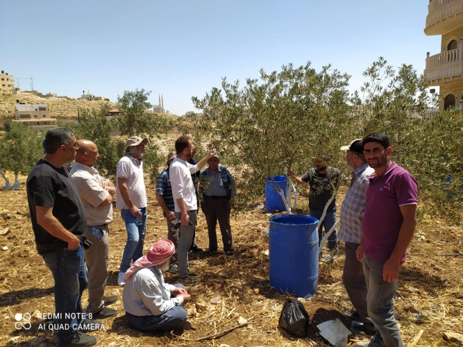 Ministry of Agriculture: Jerusalem Agriculture Department conducts a field day for 15 olive farmers in Abu Dis in cooperation with the Jerusalem Governorate and with the support of the Moroccan Bayt Mal Al-Quds Al-Sharif Agency