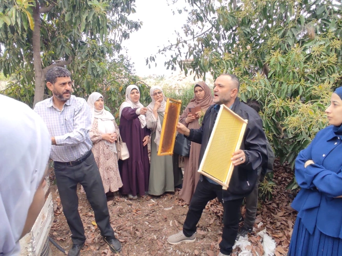 Ministry of Agriculture: Tulkarem Agriculture  Directorate conducts a field day on beekeeping for 15 women with the aim of enhancing the empowerment of rural women